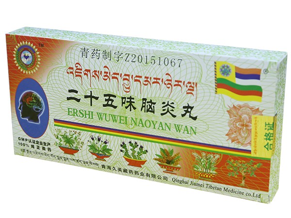 二十五味腦炎丸