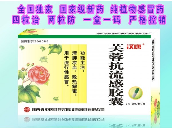 芙蓉抗流感膠囊