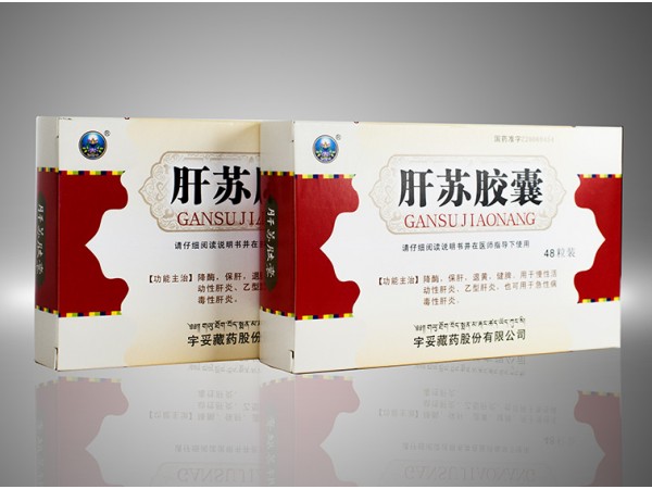 肝蘇膠囊