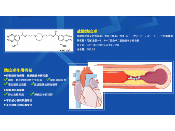 鹽酸地拉卓片（心絞痛）