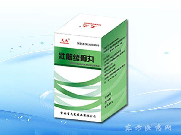 壯筋續(xù)骨丸