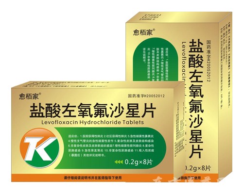 鹽酸左氧氟沙星片