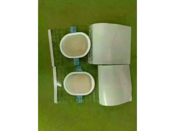 東進(jìn)藥業(yè)，沙蒿子透皮貼全國招商