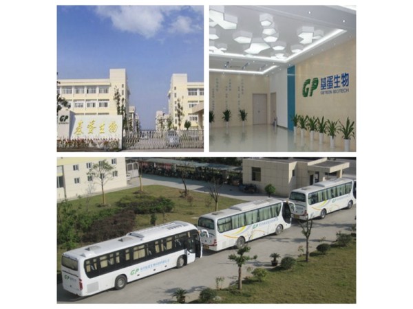 PCT檢測(cè)試劑盒