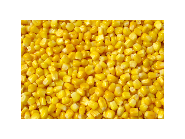 供應(yīng)玉米膳食纖維粉