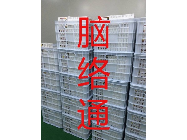 德盟腦絡(luò)通