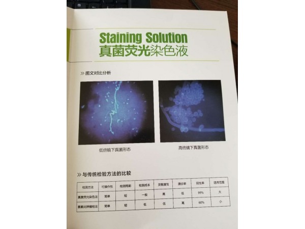 真菌熒光染色液