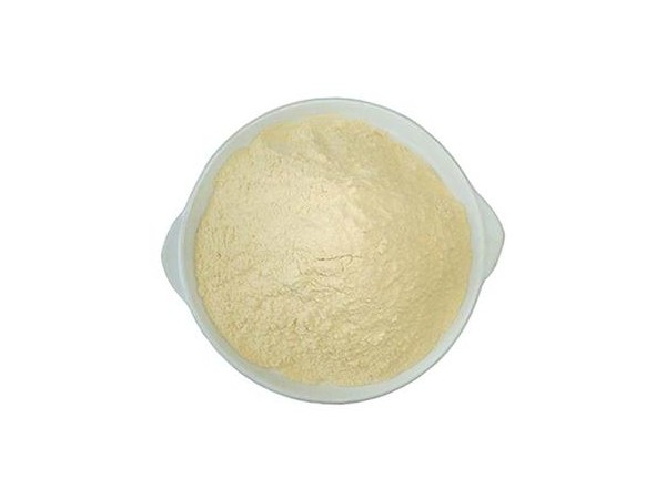 4-雄烯二酮 63-05-8