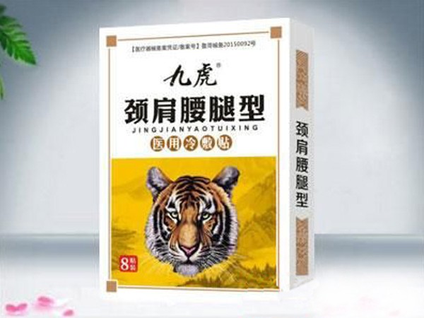 醫(yī)用冷敷貼頸肩腰腿型