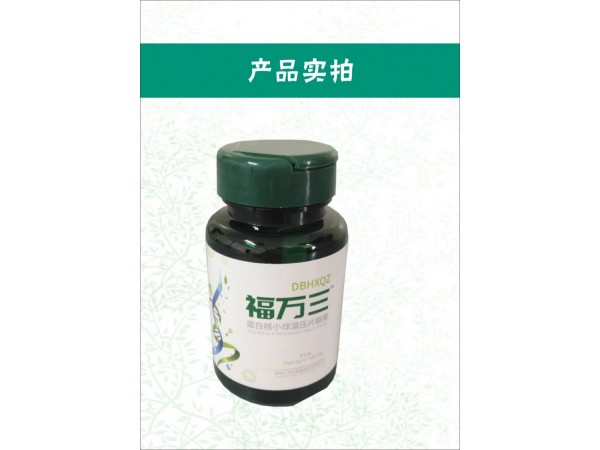 褔萬三蛋白核小球藻