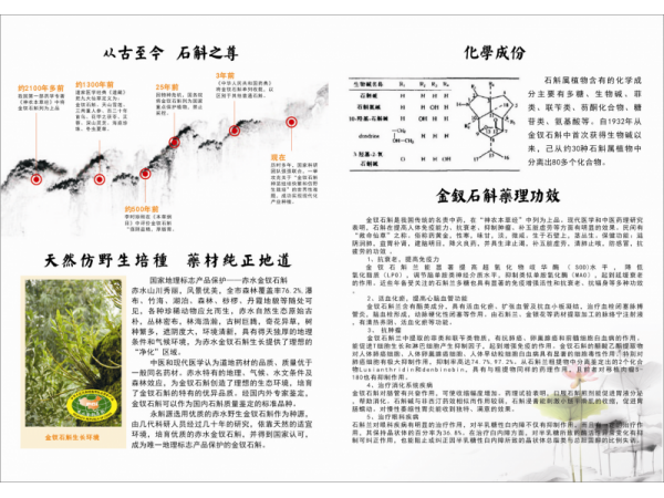 永斛源金釵石斛中藥飲片