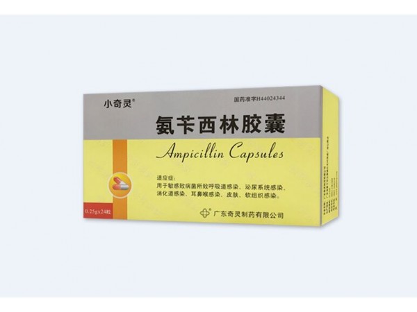 氨芐西林膠囊