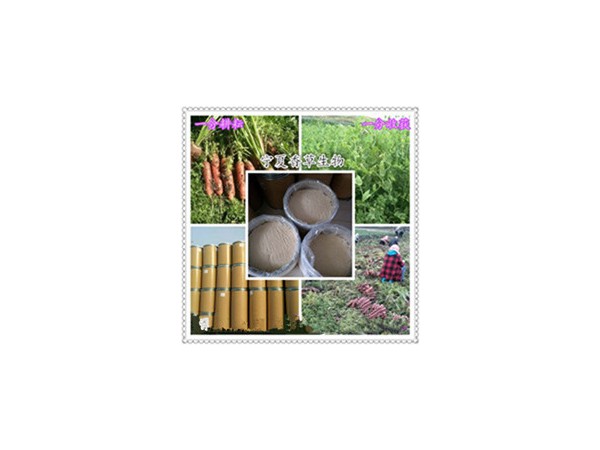 仙茅提取物/浸膏 速溶粉