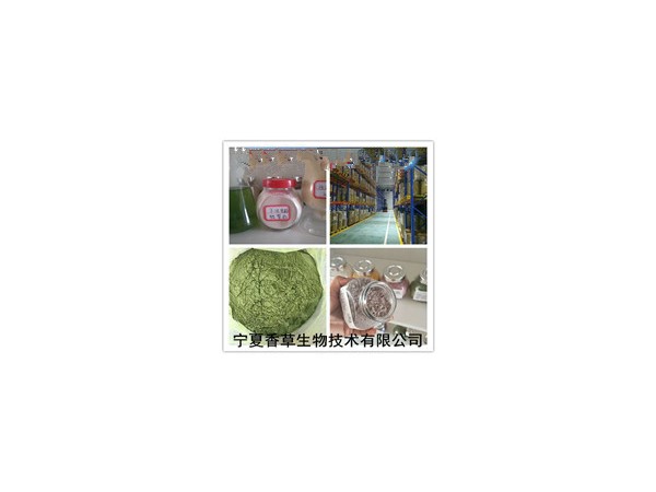 大黃根提取物10:1多種規(guī)格