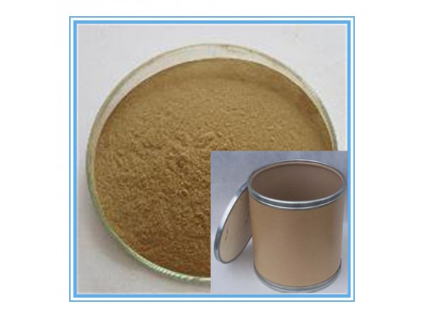 黑豆皮提取物  浩宇