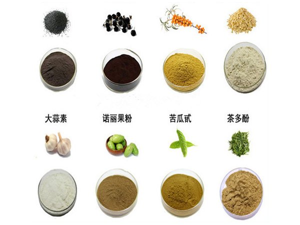 草烏粉 速溶粉 多糖 浩宇