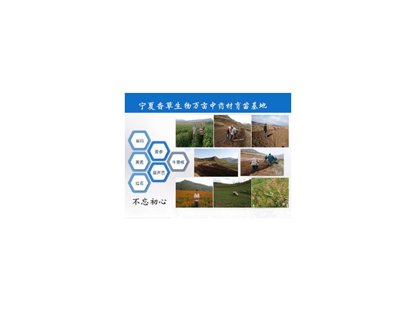 川烏提取物規(guī)格可定制