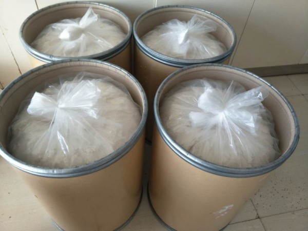 羊腰子速溶粉20:1