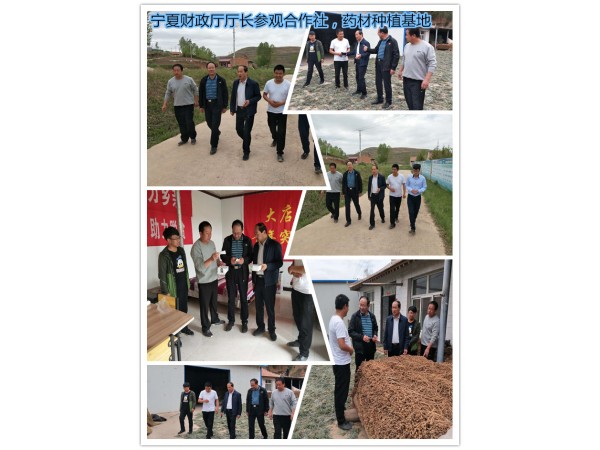 狗鞭粉速溶粉20:1