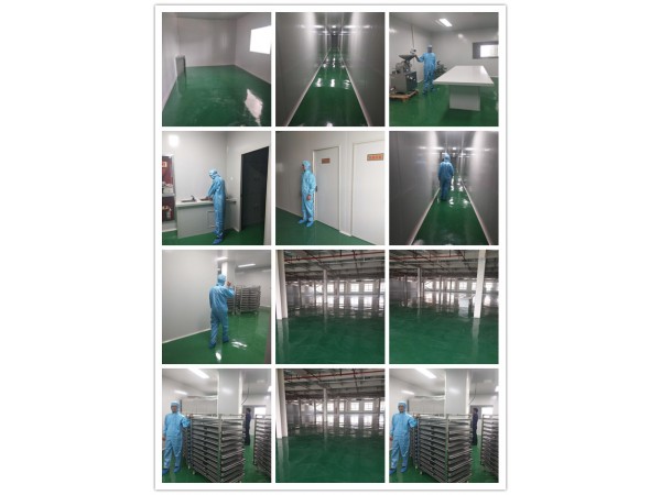 狗鞭粉速溶粉20:1