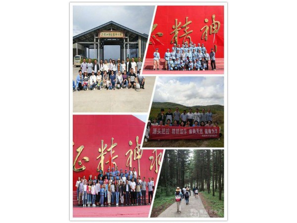 木蹄層孔菌速溶粉