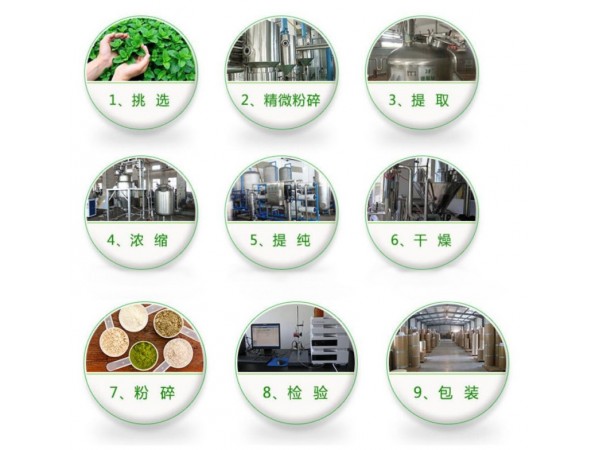 平頂靈芝提取物