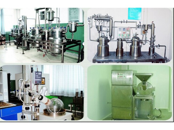 馬蹄桑黃提取物