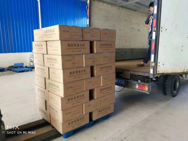 深海魚皮魚骨蛋白粉 95%