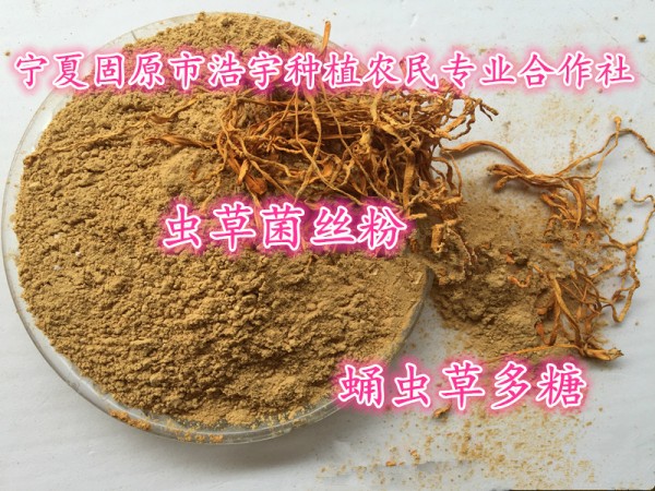 金蟲(chóng)草多肽98%