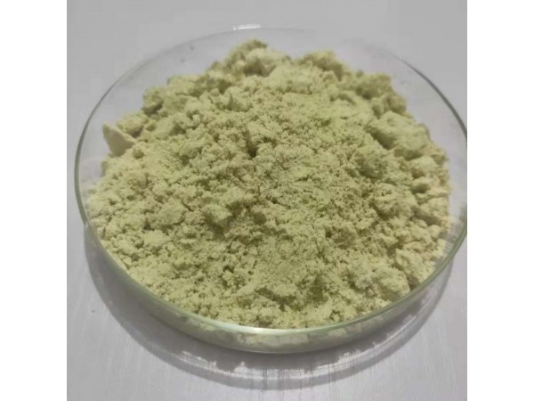 西葫蘆籽提取物