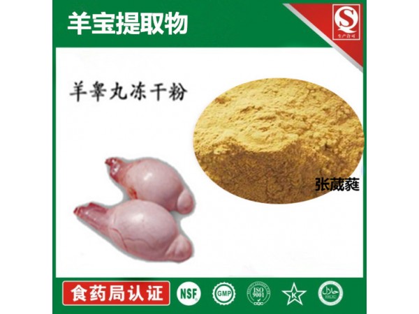 牛睪丸蛋白粉