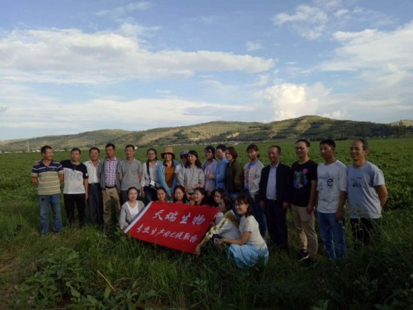 白樺茸多糖50% 真菌多糖