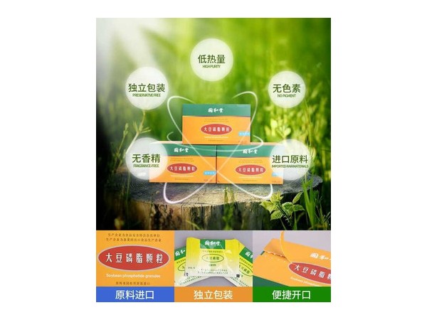 國和堂   大豆磷脂