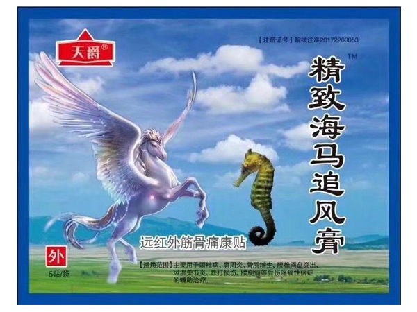 精致海馬追風(fēng)膏