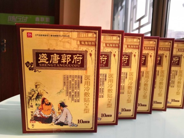 洛陽 盛唐郭府醫(yī)用冷敷貼