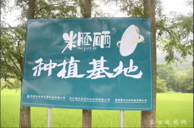 米胚硒種植基地_20190314085747