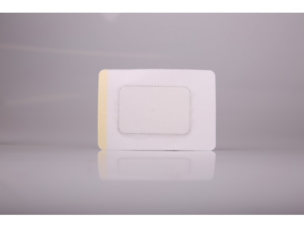 穴位貼敷治療貼（12貼裝）--臨床骨科