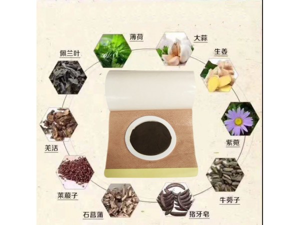 一類械字號蜂蜜藥泥貼【通便貼】