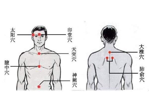 水凝膠型濟(jì)貝康感冒貼
