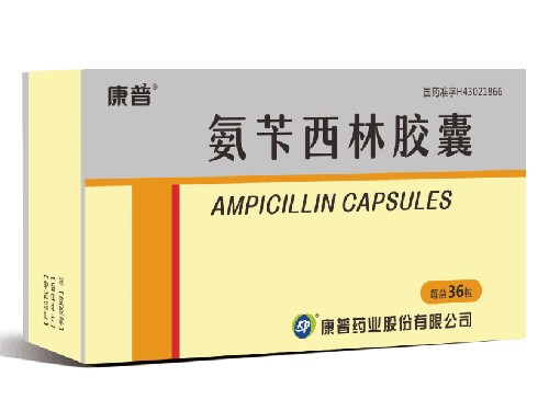 氨芐西林膠囊