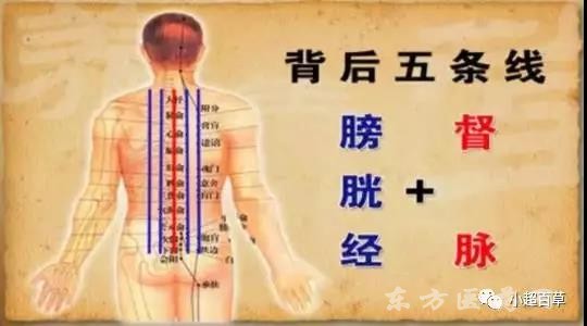 微信圖片_20190617093926