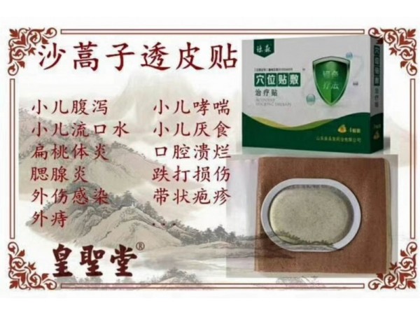 沙蒿子透皮貼批發(fā) 廠家直銷供應(yīng)