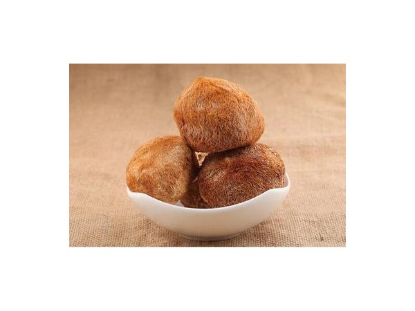 養(yǎng)胃猴頭菇固體飲料代加工