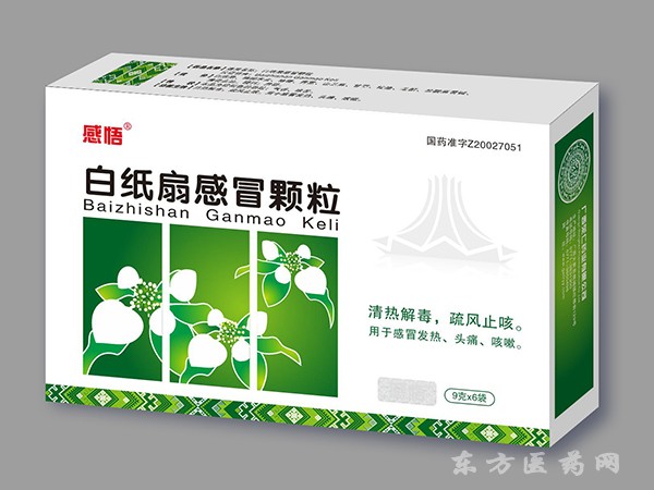 白紙扇感冒顆粒