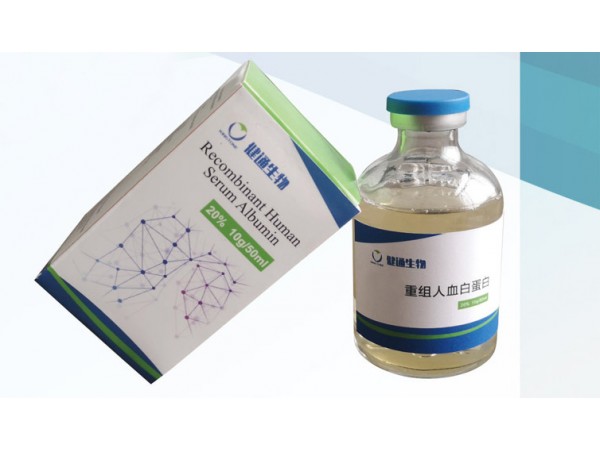 基因重組人血白蛋白