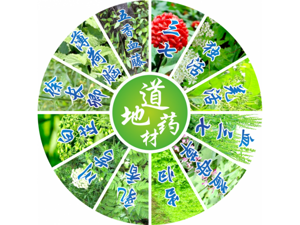 永靈健苗一味貼