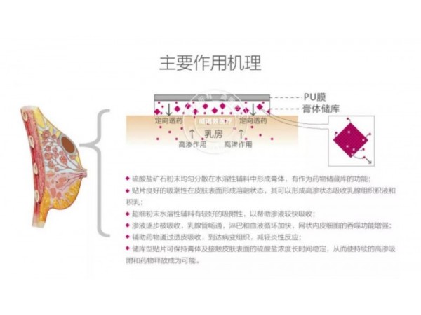 乳腺貼乳腺寧貼片