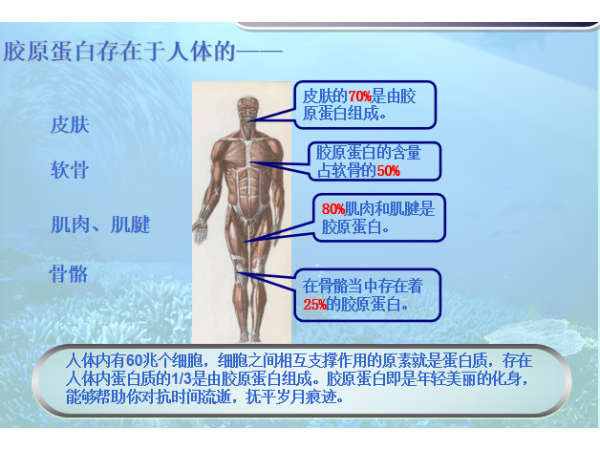 同富康膠原蛋白復(fù)合果蔬飲品OEM招商