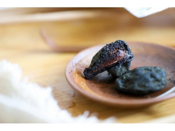 同富康青梅發(fā)酵果OEM代加工招商