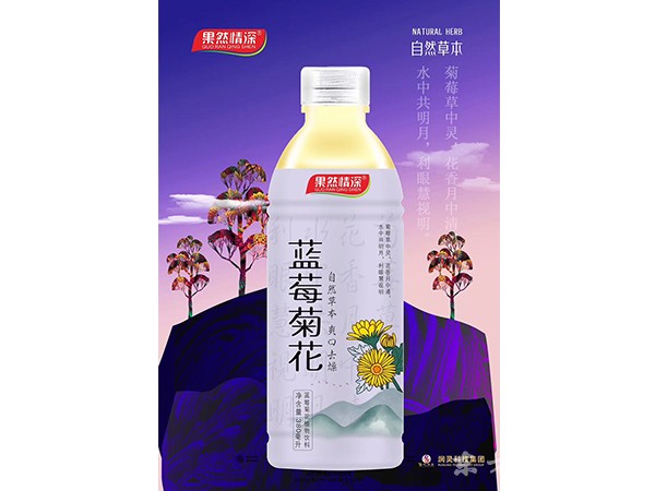 藍莓菊花植物飲料